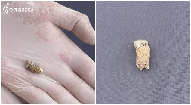 სოფელ ოროზმანში 1,8 მილიონი წლის წინანდელი ადამიანის კბილი აღმოაჩინეს