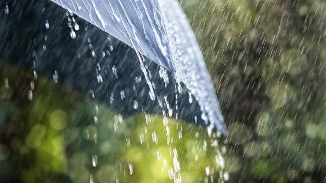10 ოქტომბრამდე დროგამოშვებით წვიმიანი ამინდია მოსალოდნელი - ამინდის პროგნოზი