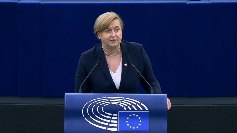 ფოტიგა: ოცნებამ უნდა გადაიხადოს ფასი - ევროპამ უნდა შევიმუშაოთ ჩვენი MEGOBARI Act-ი
