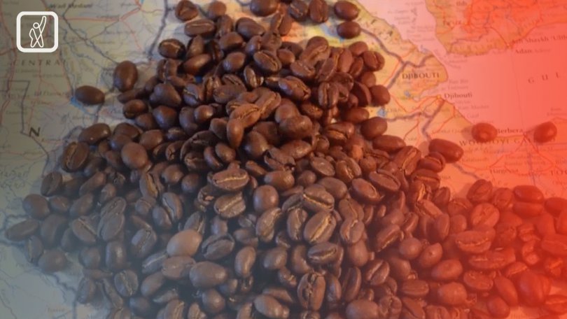 ბიზნესი და პოლიტიკა—ვინ როგორ აფინანსებს „ოცნების“ პროპაგანდას და თავისუფალ მედიას?