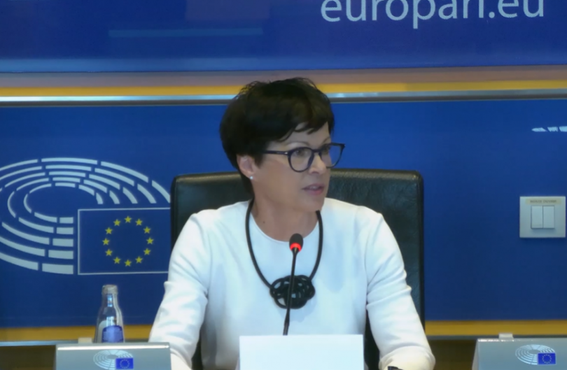 კოსი: საქართველოში ბოლო დროს შემუშავებული კანონმდებლობები შეშფოთებას იწვევს