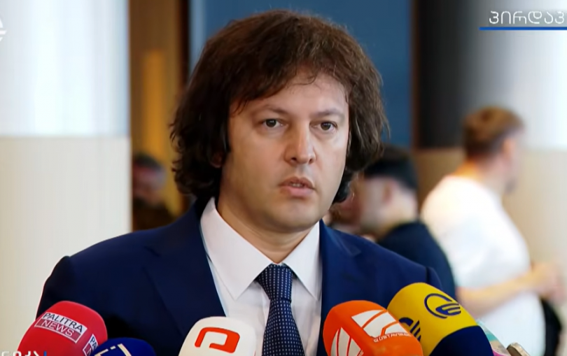 კობახიძე: მედიის თავისუფლება არაფრად უღირს ევროპარლამენტს