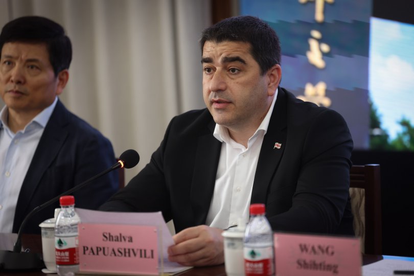 პაპუაშვილი ფიშერზე: აუხსნას ვინმემ, რომ არ ვაპირებთ უკრაინა-მოლდოვის EU-ის გზას დავადგეთ