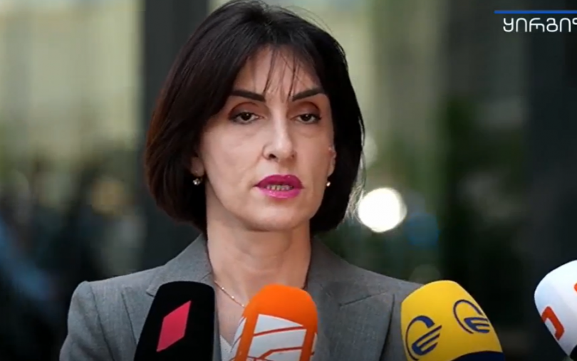 ბოჭორიშვილი სავიზო დიალოგზე: პოზიციები გავცვალეთ, ვნახოთ, მოვლენები როგორ განვითარდება
