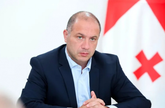 მიქანაძე ამბობს, რომ პროფესიული პროგრამების ნაწილის აღიარება სურთ